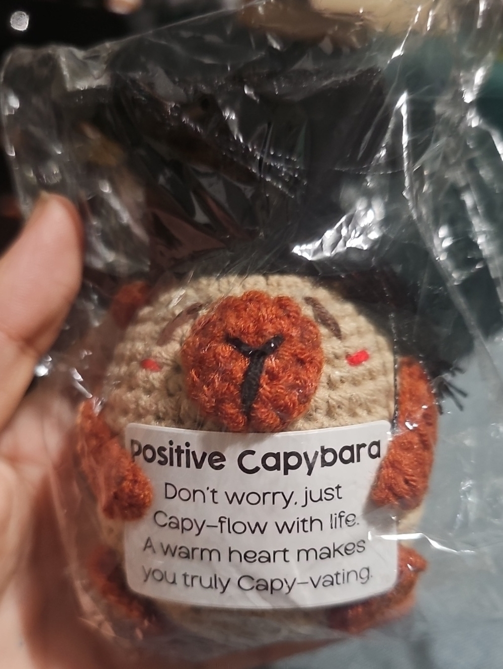 Positive Capybara Plush Crochet - Brown/Tan